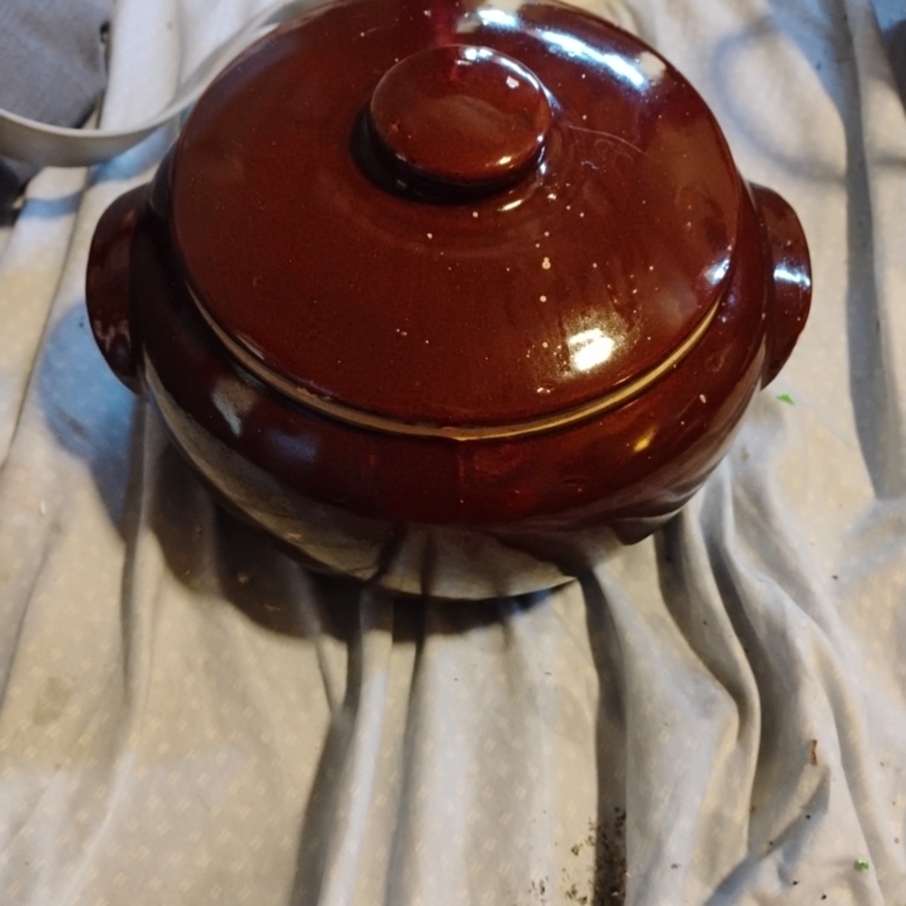 Elegant Brown Ceramic Casserole Dish